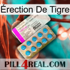 Érection De Tigre new07